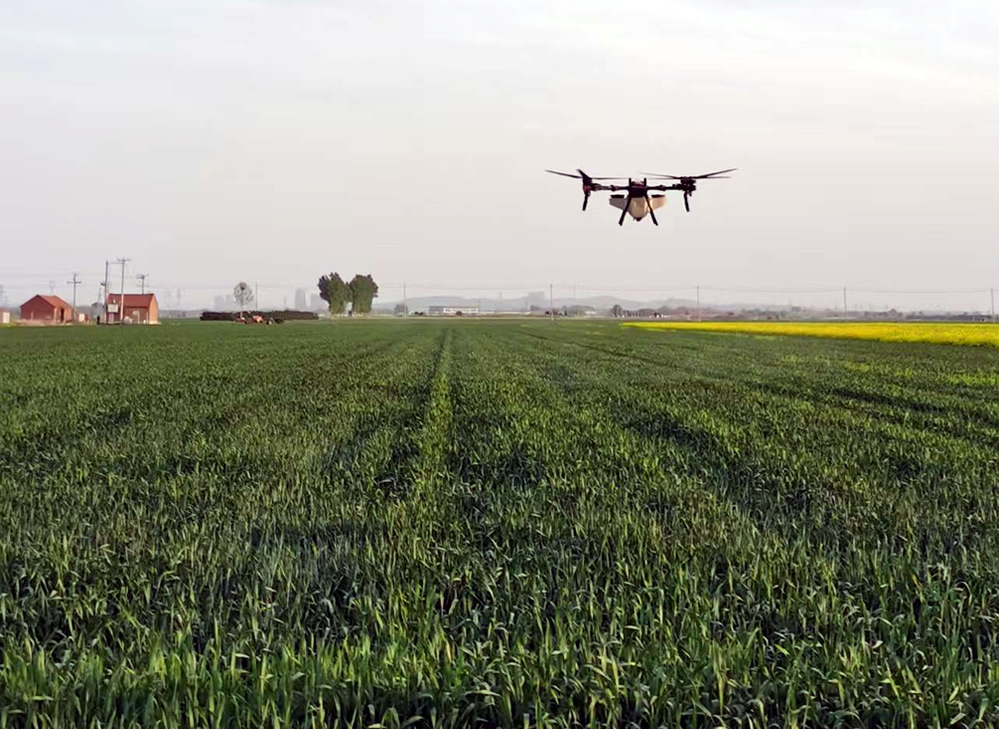 莱州“麦十歌”——田野间飘扬的农谣智慧 第 1 张