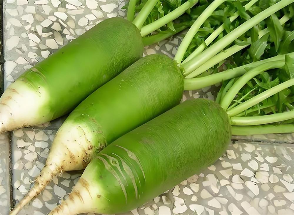 立冬萝卜小雪菜：莱州四时之味，浸润百姓生活 第 2 张