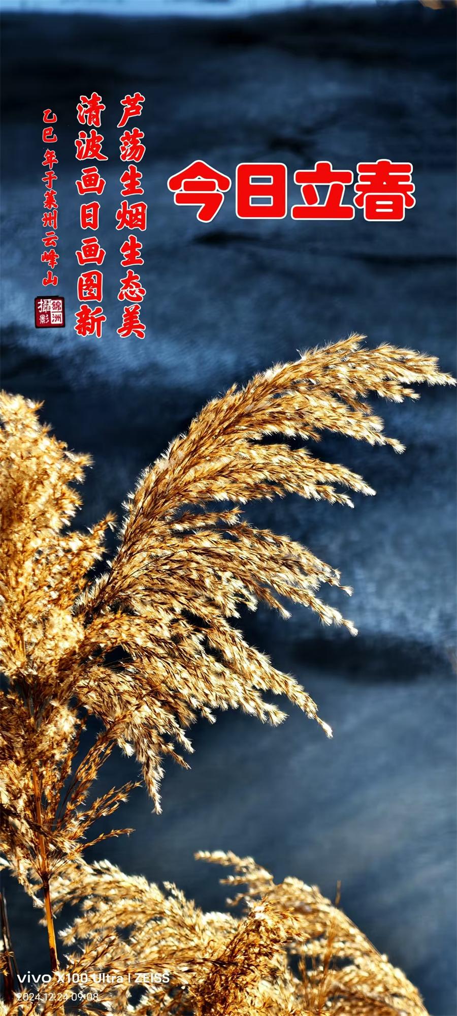 璀璨的莱州民俗文化——立春 第 1 张