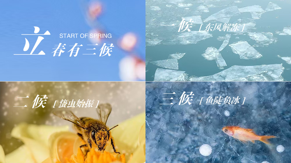 璀璨的莱州民俗文化——立春 第 4 张