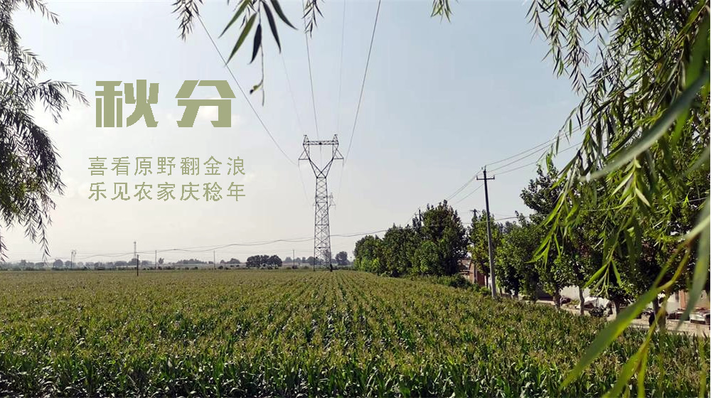 璀璨的莱州民俗文化 ——秋分  第 4 张