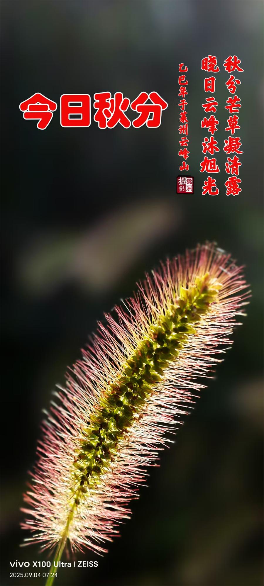 璀璨的莱州民俗文化 ——秋分  第 1 张