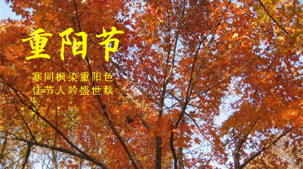 璀璨的莱州民俗文化——重阳节 第 4 张