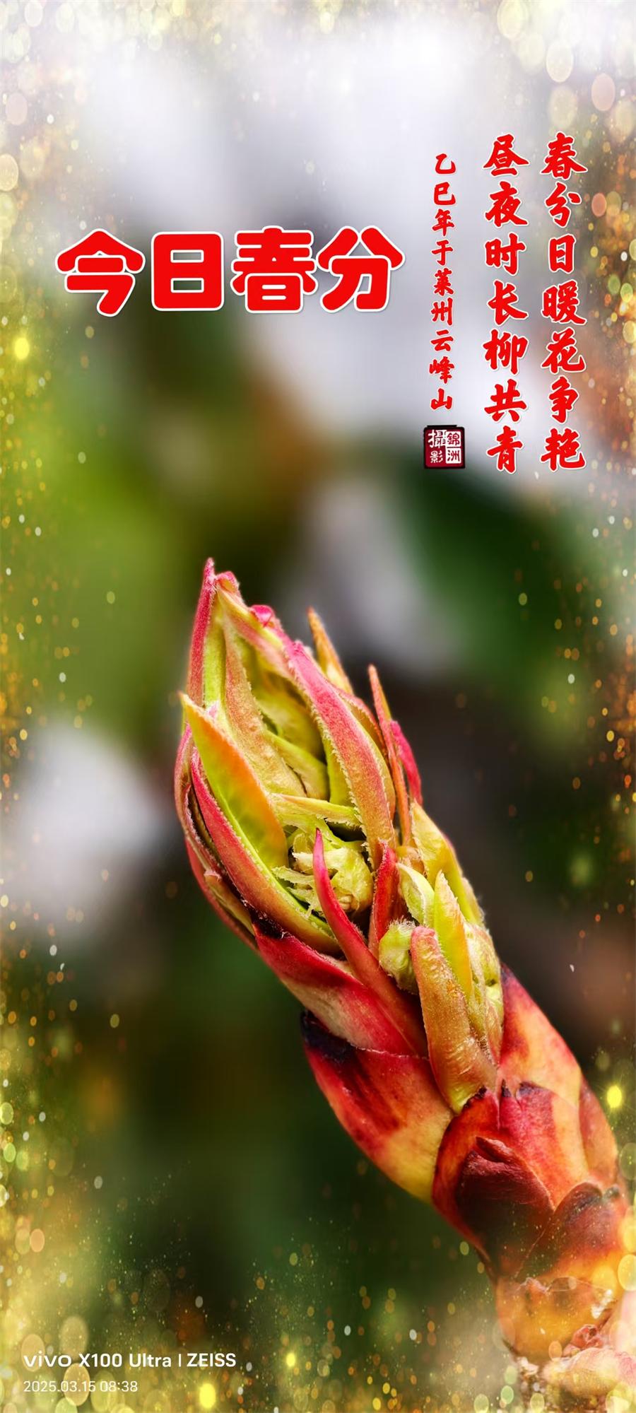 璀璨的莱州民俗文化——春分 第 1 张