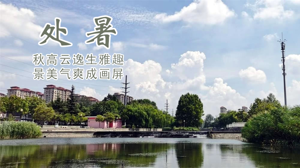 璀璨的莱州民俗文化——处暑 第 4 张