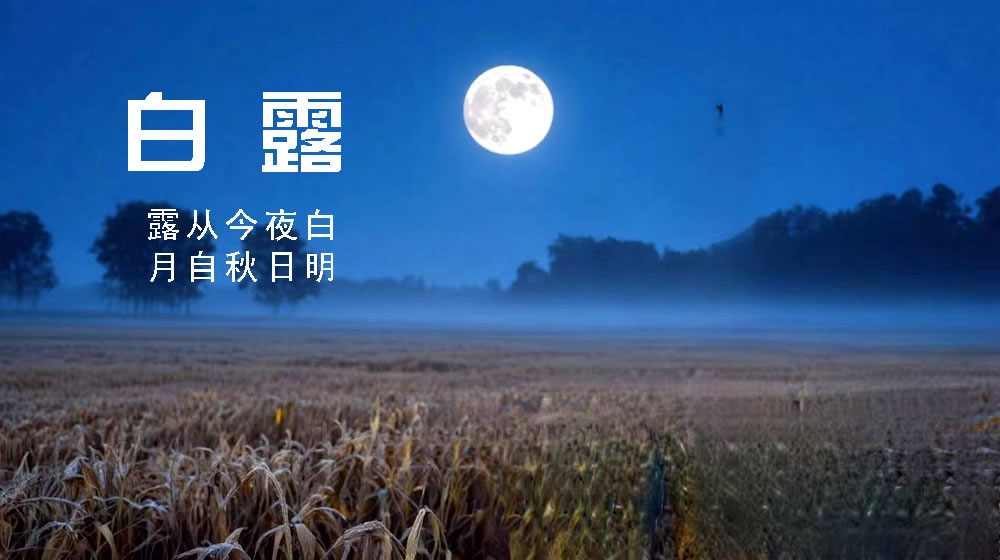 璀璨的莱州民俗文化——白露 第 1 张