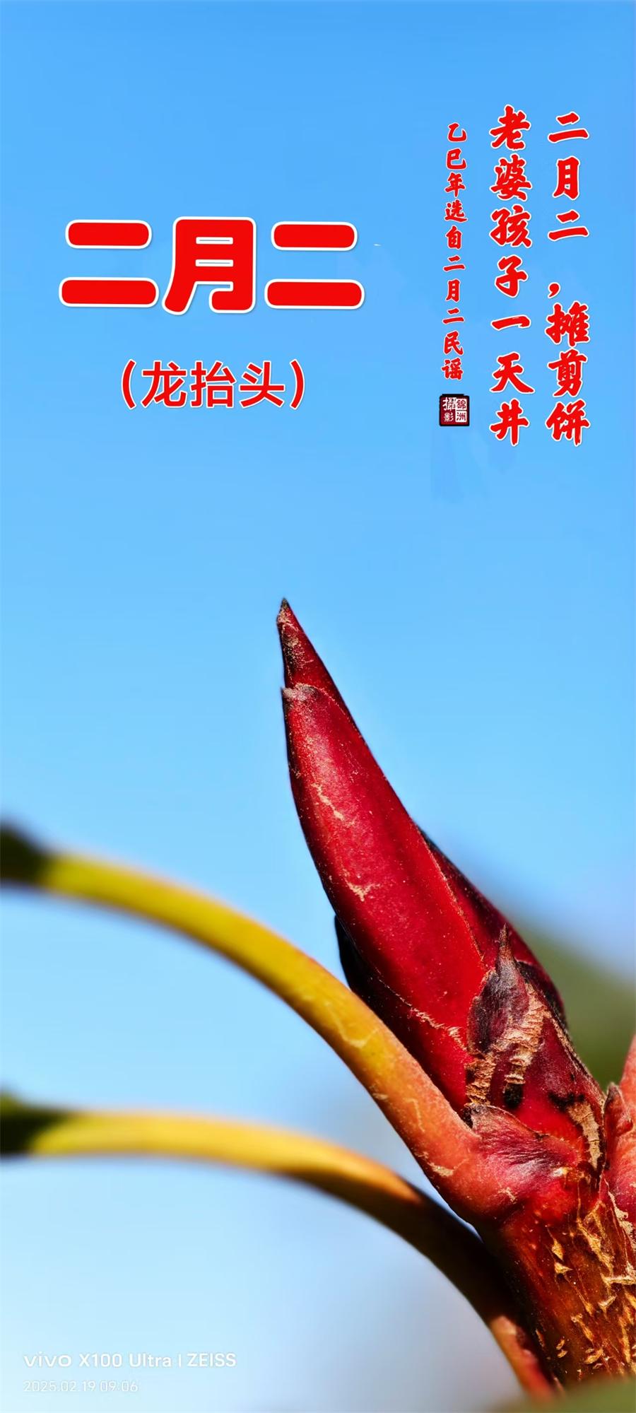 璀璨的莱州民俗文化——二月二 第 1 张