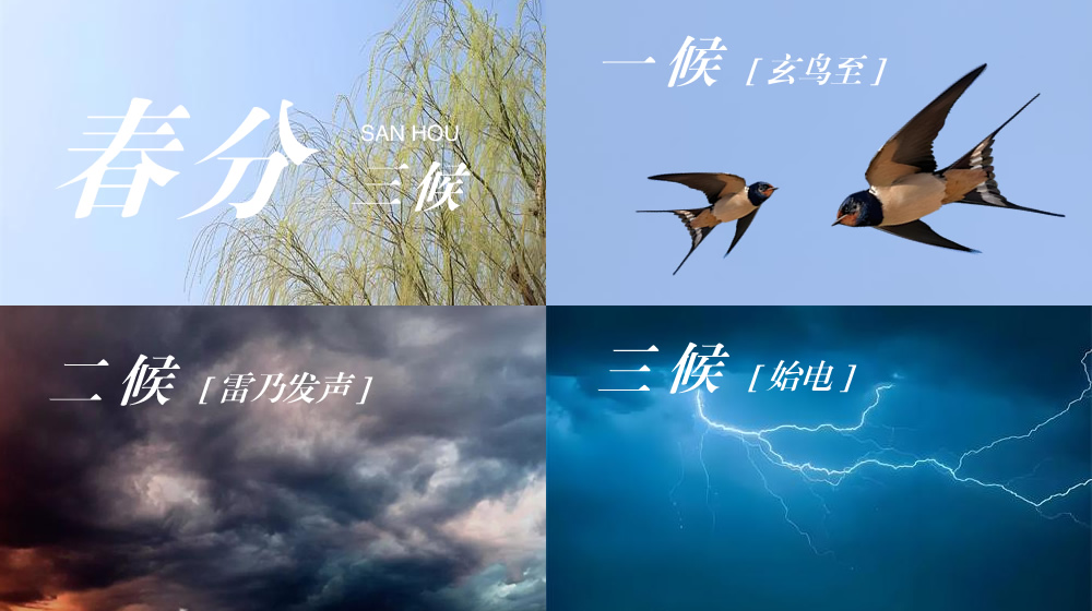 璀璨的莱州民俗文化——春分 第 5 张