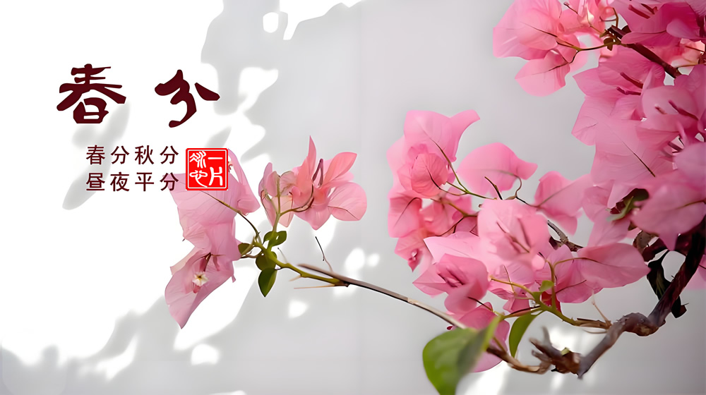 璀璨的莱州民俗文化——春分 第 2 张