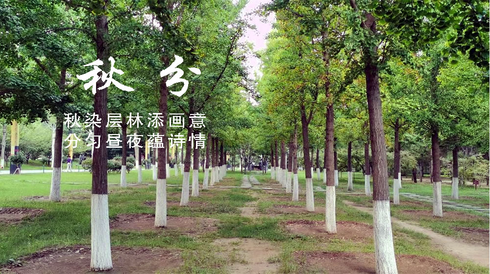 璀璨的莱州民俗文化 ——秋分  第 2 张